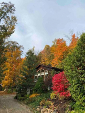Hockley Valley Condo - Minutes To Hockley Resort